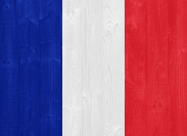france-flag Flag